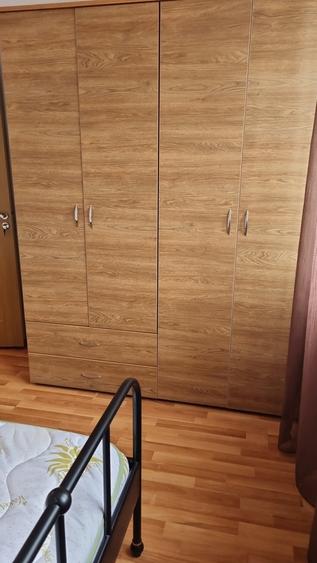 Berceni, Luica, stradal - 10