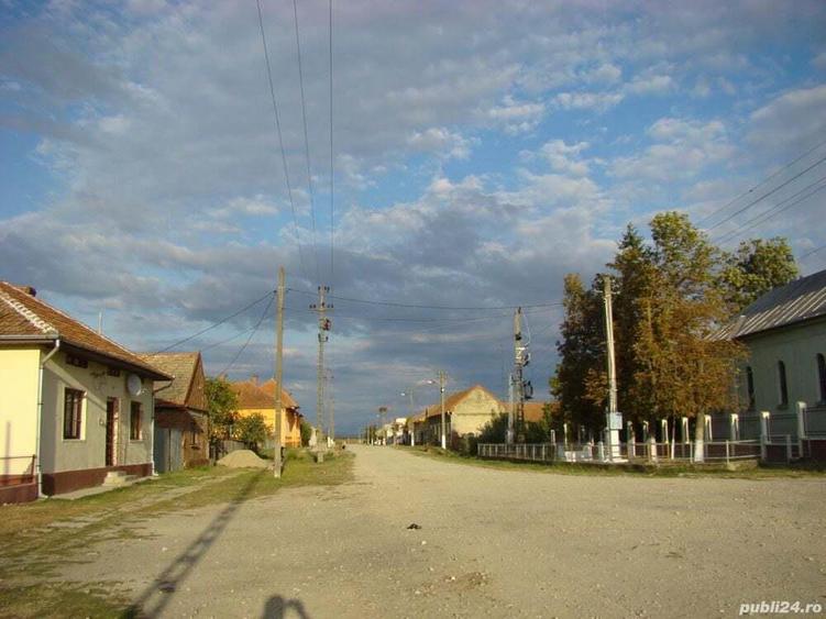 Vand teren intravilan - 1