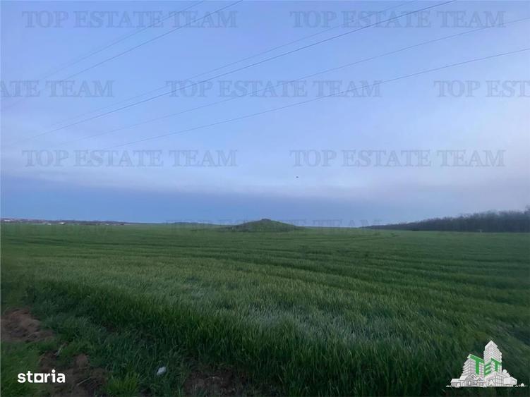Teren intravilan 15000 mp Costinesti, Constanta - 5