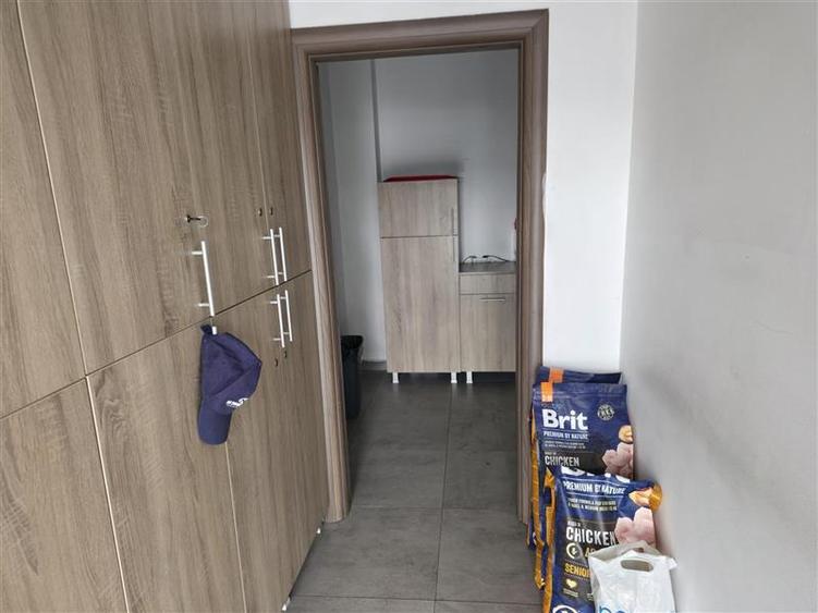 Vanzare depozit/hala/spatiu industrial Theodor Pallady - Drumul Intre Tarlale - - 22