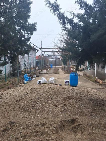 Vand gospodarie formata din 2 case in Peris langa Balotesti - 4