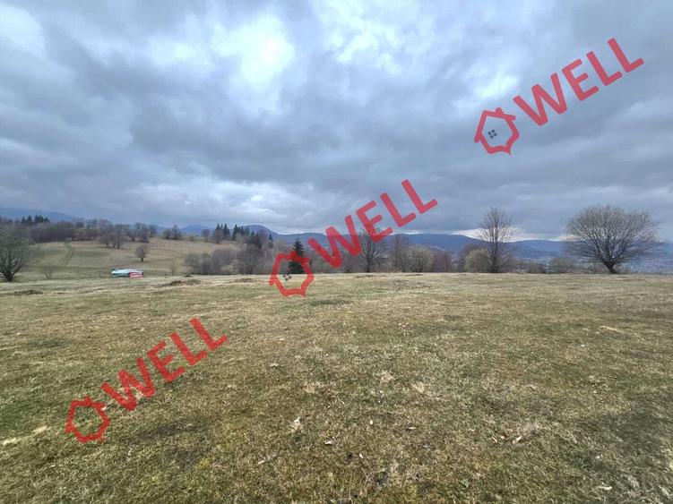 De vânzare 2 terenuri extravilane în localitatea Vama Buzăului, în zona denumită - 8