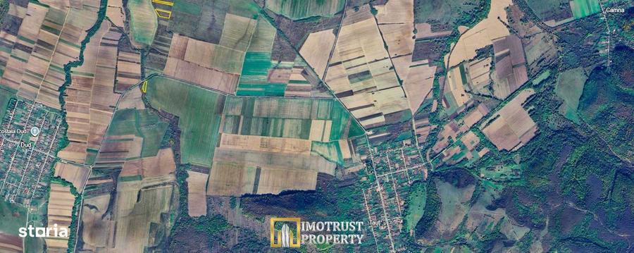 Terenuri agricole de vanzare in Arad Comuna Tau? - 4