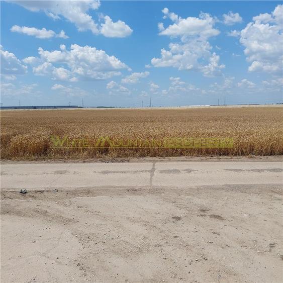 Teren 88000 mp de vanzare, Glina - 7