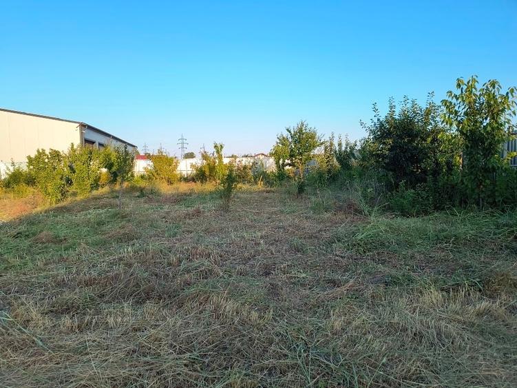 !!! URGENT!!! Vând teren Vidin Brăila - 3