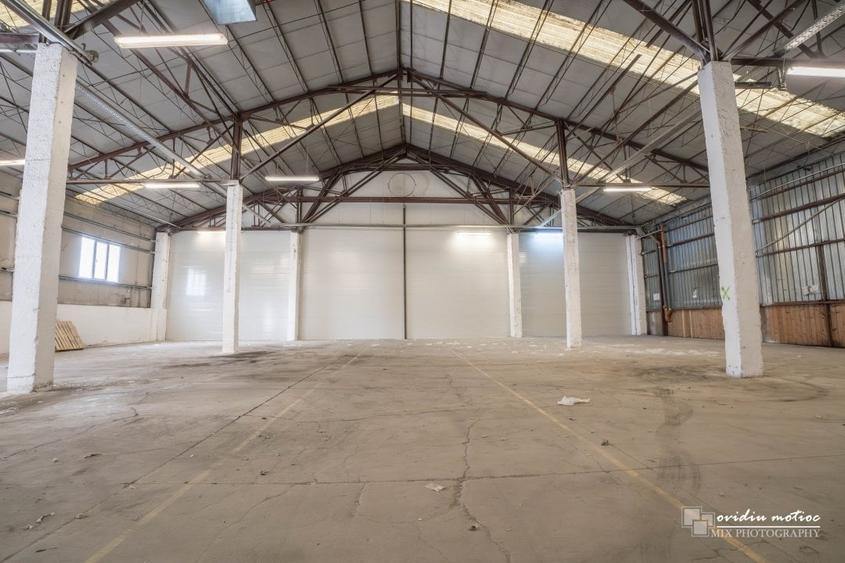 Modul hala 200-400 mp, Calea Baciului - 2