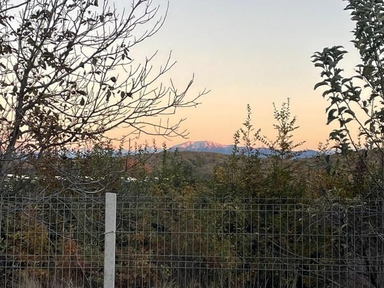 Teren intravilan de vanzare – Tropinii Noi - 1036 mp - 5