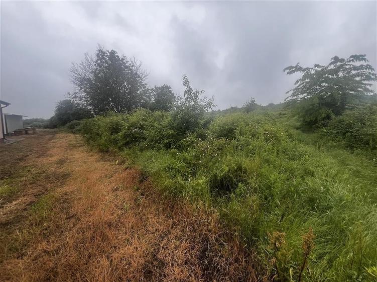 Teren intravilan, 1000mp, in Valea Calugareasca. - 5