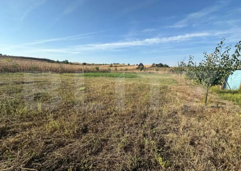 Teren extravilan, Oarda de Jos, 2072 mp, parcele intre 500-5 - 3