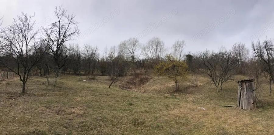Teren intravilan 2.454 mp cu casa cadou Zona Runcu, ideal pensiune - 2