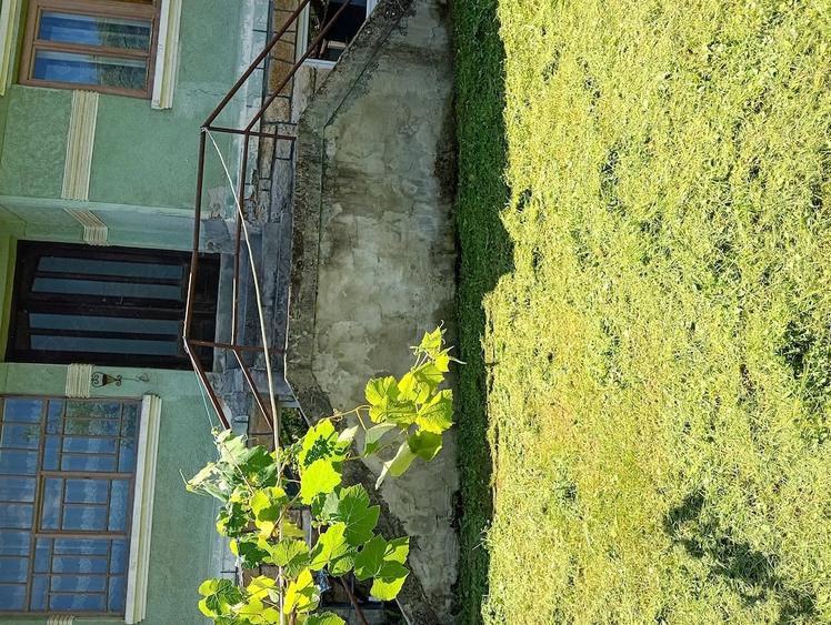 Casă cu 3 camere cu Teren 3600 Mp în Geoagiu-Băi