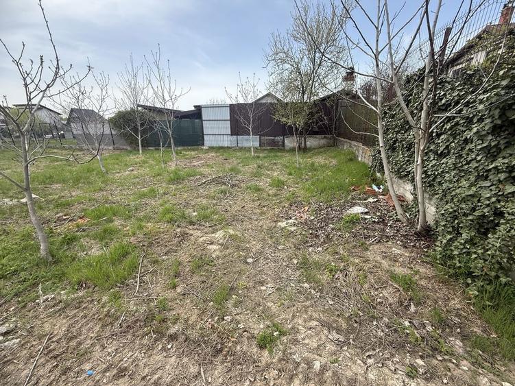 Teren Domnesti 840mp - 3