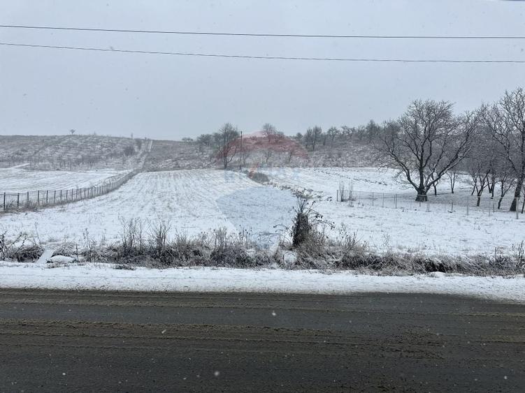 Teren 8,300mp Negresti (Dobreni) / Drumul DEALUL OTEL - 1