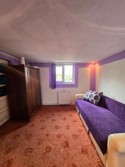 Casa P+1 | Curte proprie | - 10