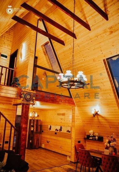 Oportunitate! Casa de vacanta A-frame, judetul Arges - 8