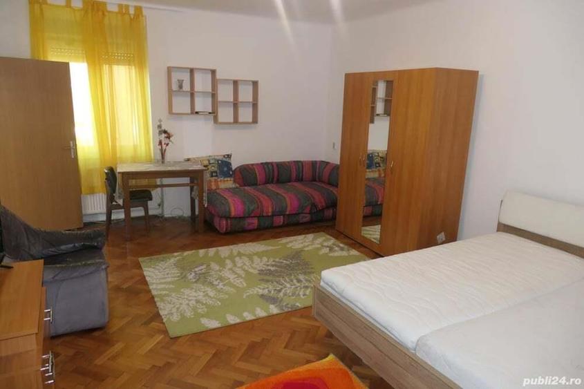 Apartament 1 camera spa?ios, incalzire proprie, central - Podgoria - 9