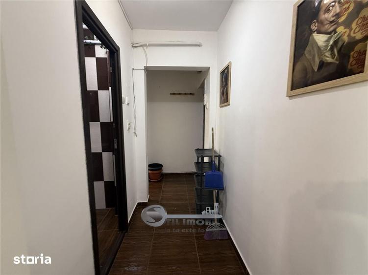 3 CAM ALEXANDRU CEL BUN - 15