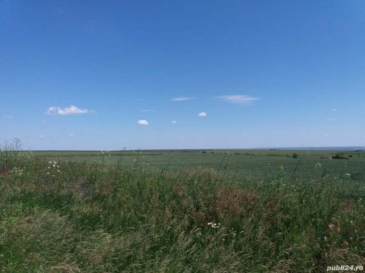 Vand teren agricol Tulucesti - 2