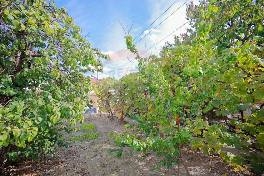 Casă cu 2 camere de vânzare în zona Ioșia Strada Arțarilor - 22