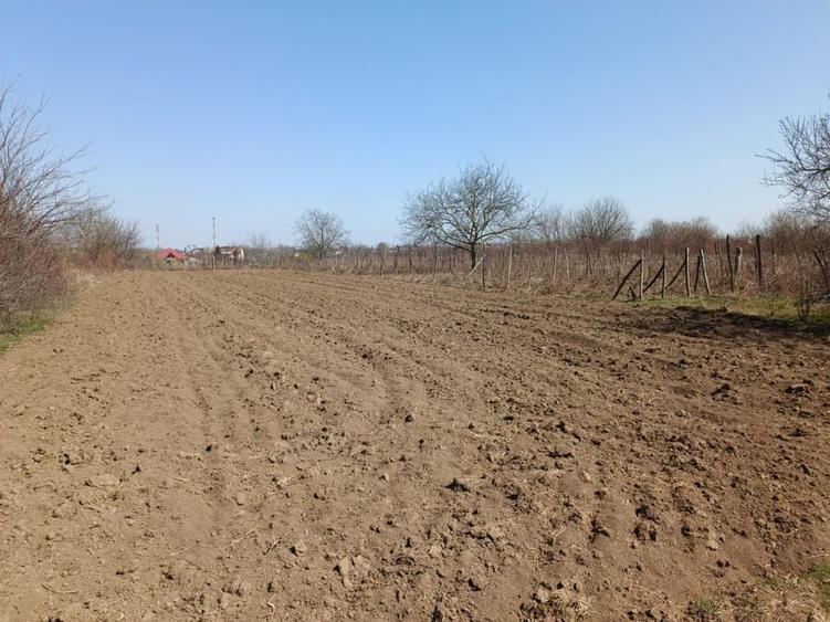 Teren extravilan 2400 mp in Afumati - 2