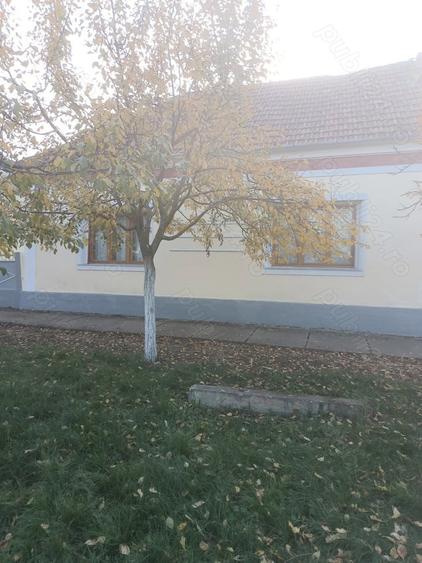 Casa de vanzare in Alio? jude?ul Timi? - 6