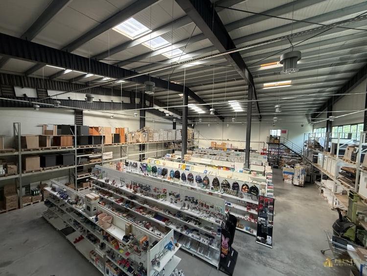 Hale industriale 3000 mp de vanzare in Parcul Industrial Tetarom 1 - 4