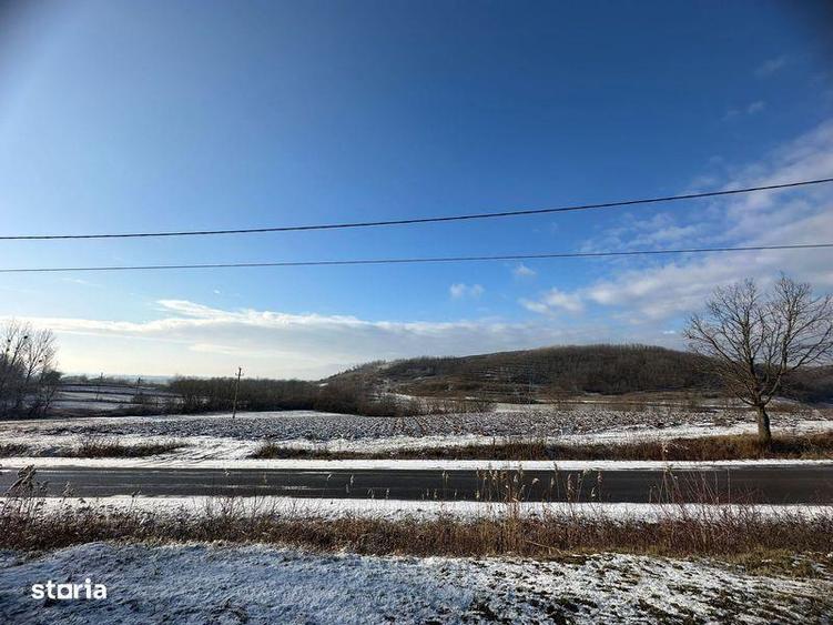Teren de Vanzare 9050mp intravilan, Tileagd - 6