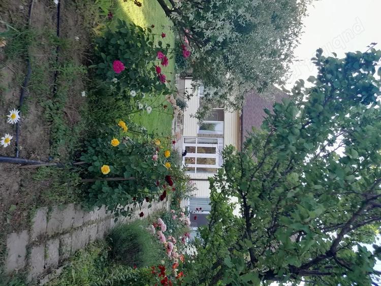 Vand casa cu teren. - 4