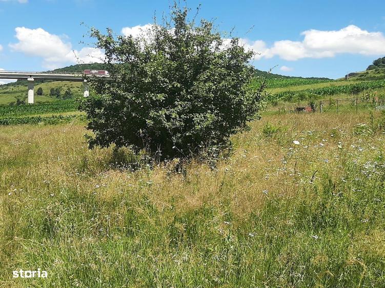 Teren de vanzare in Martinesti - 2