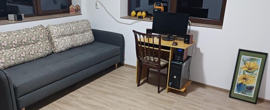 Chelinta, casa 1,2ha teren - 9