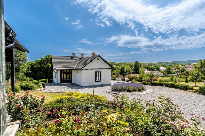 REZERVAT Visezi la o proprietate unică, plină de istorie și farmec? - 2