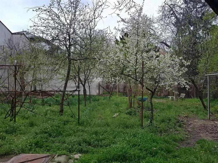 Apartament 1 camera Balcescu