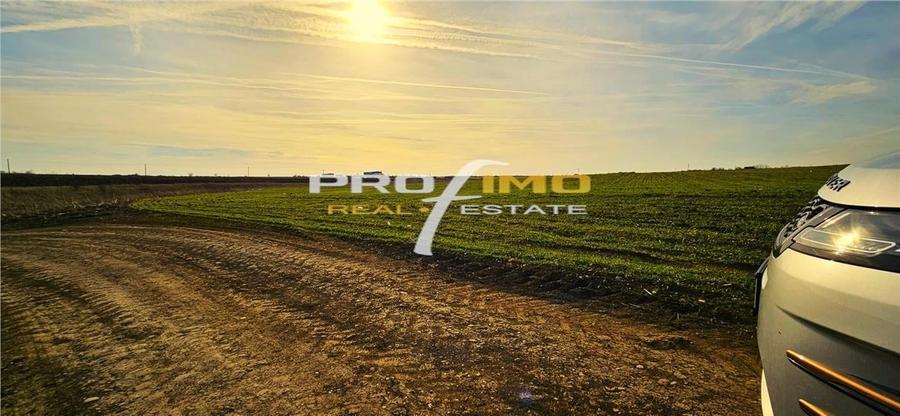 Teren 3823 mp. intravilan - Autostrada - Dedeman Agigea - 5