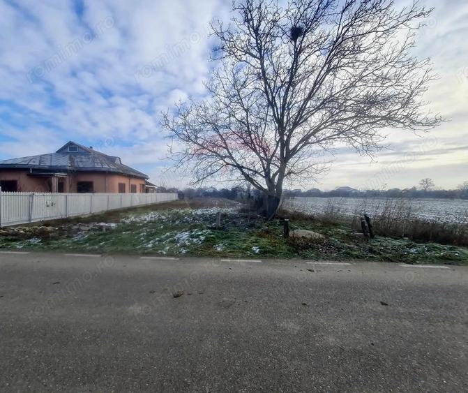 Teren intravilan 1,564mp in Gologanu - 2