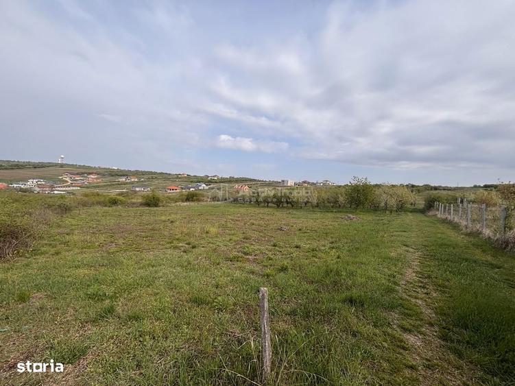 Teren pe colt in Paleu 800 mp ideali pentru casa ta intr-o zona lini - 4