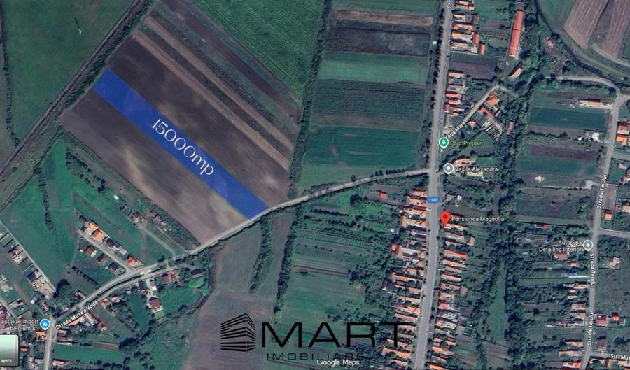 Teren Extravilan 15.000 mp Prejmer - 5