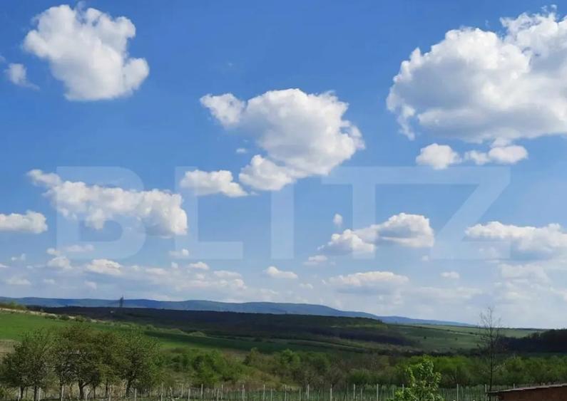 Casa/Vila de vanzare / posibil Pensiune ,cu view ?i padur - 4