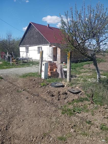 Casa de vanzare loc lini?tit - 5