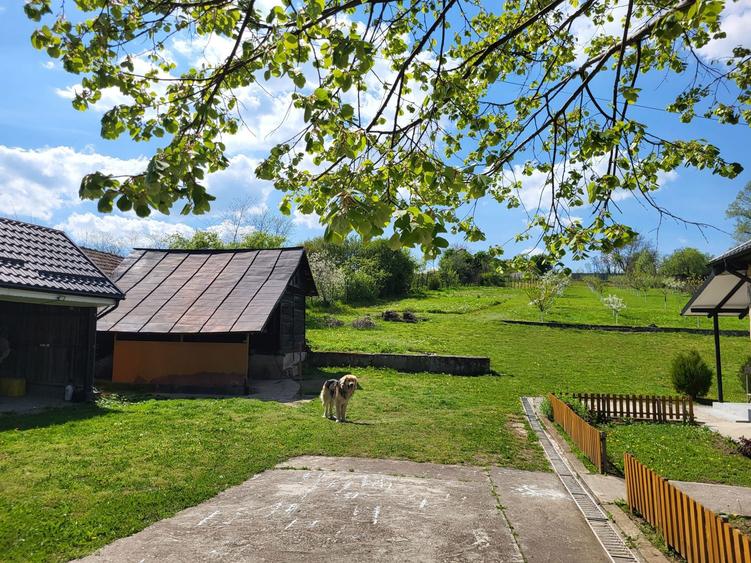 Casa de vanzare in comuna Strejesti de Sus - 1