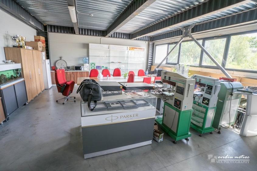 Hale in parcul Tetarom I - 9