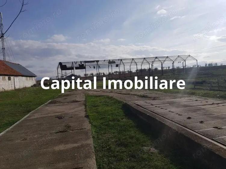 Ferma langa Oravita 5600 mp construiti si teren 24281 intravilan - 9