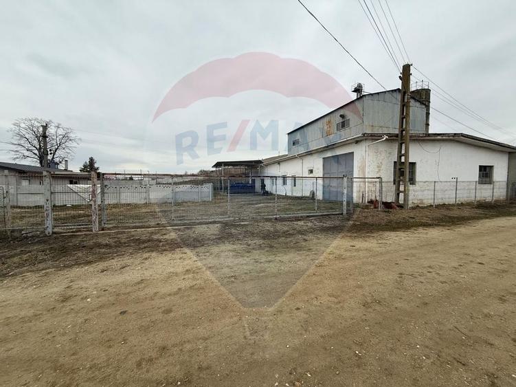 Moara Spatiu Industrial - 40