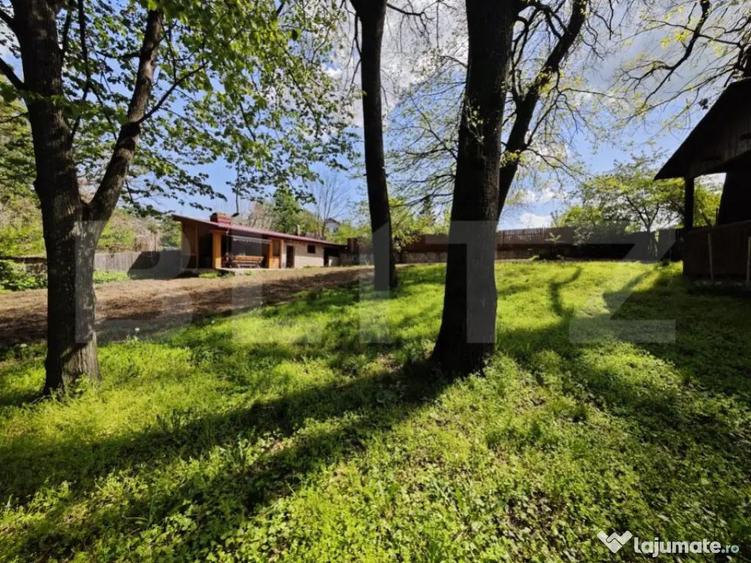 Padure in Barnova 1800 mp + 600 mp teren pentru casa - 4