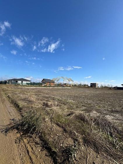 Teren 339mp, ocazie, Berceni/ Vidra - 2