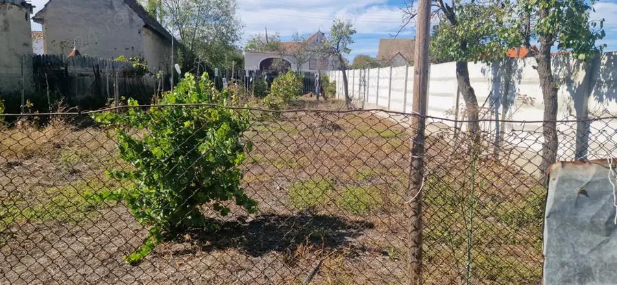 Casa de vanzare cu gradina si curte Drasov Jud. Alba - 3