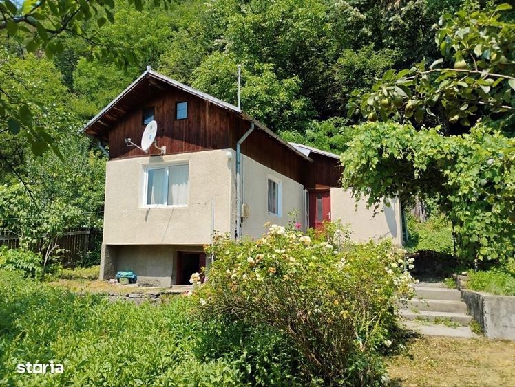 Telega Str.Principala - Casa de vacanta - 1