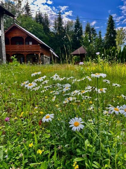 Hotel / Pensiune cu 6 camere de vanzare - 4