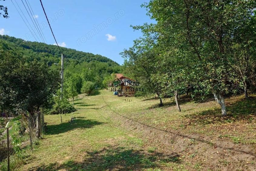 Cabana, anexe si 2000 mp teren intravilan in Taratel, Brad - 14