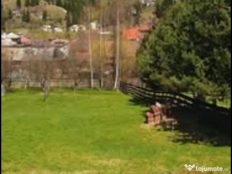 Teren intravilan in ora? Vatra Dornei zona telescaun 1000mp - 1