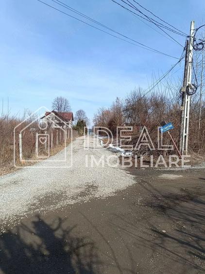 Teren 25.500 mp Valea Avrigului - 2